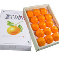 ͭ�Ĥߤ������ꤵ����Υϥ����ߤ�����1.2kg(��18��)�ڲ���Ȣ���������������ʡ�(7��10����������ȯ��ͽ��)