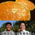 ��椵����Τߤ���