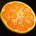 ���渵�˺�Ŭ���ϥ����ߤ���